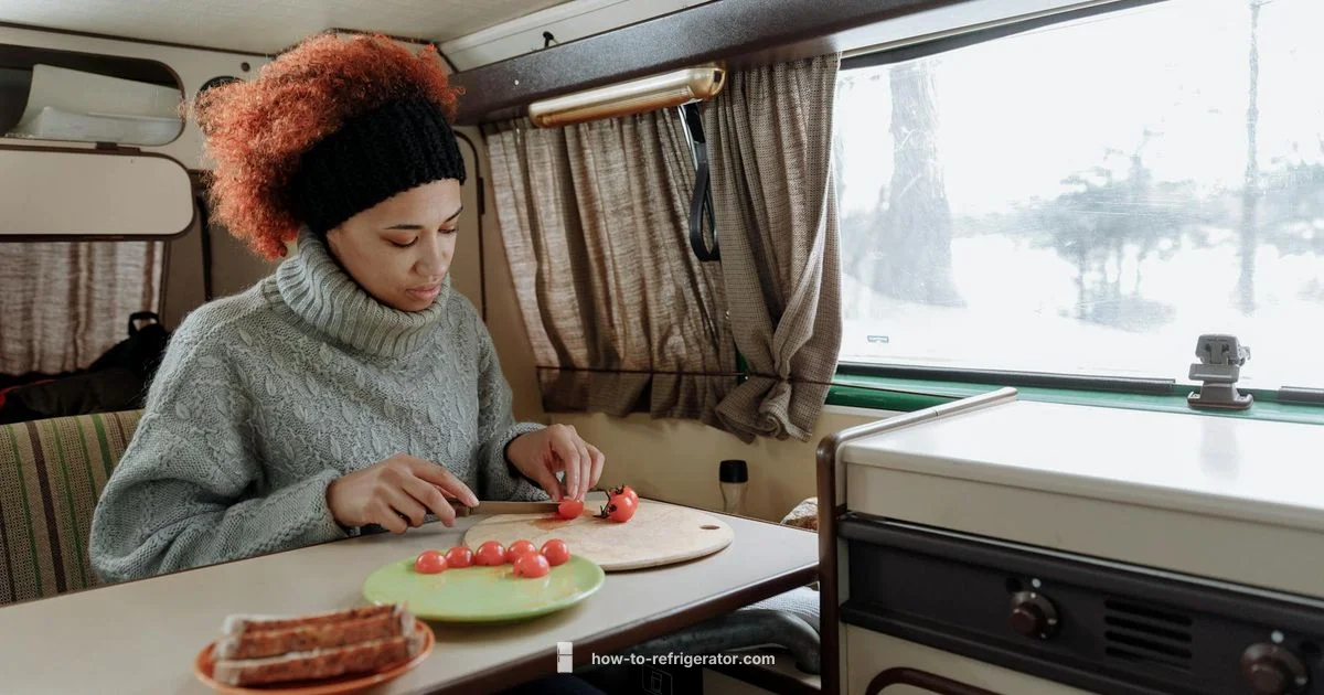 RV Fridge Parts - How To Refrigerator