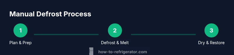 Process infographic showing manual defrost steps