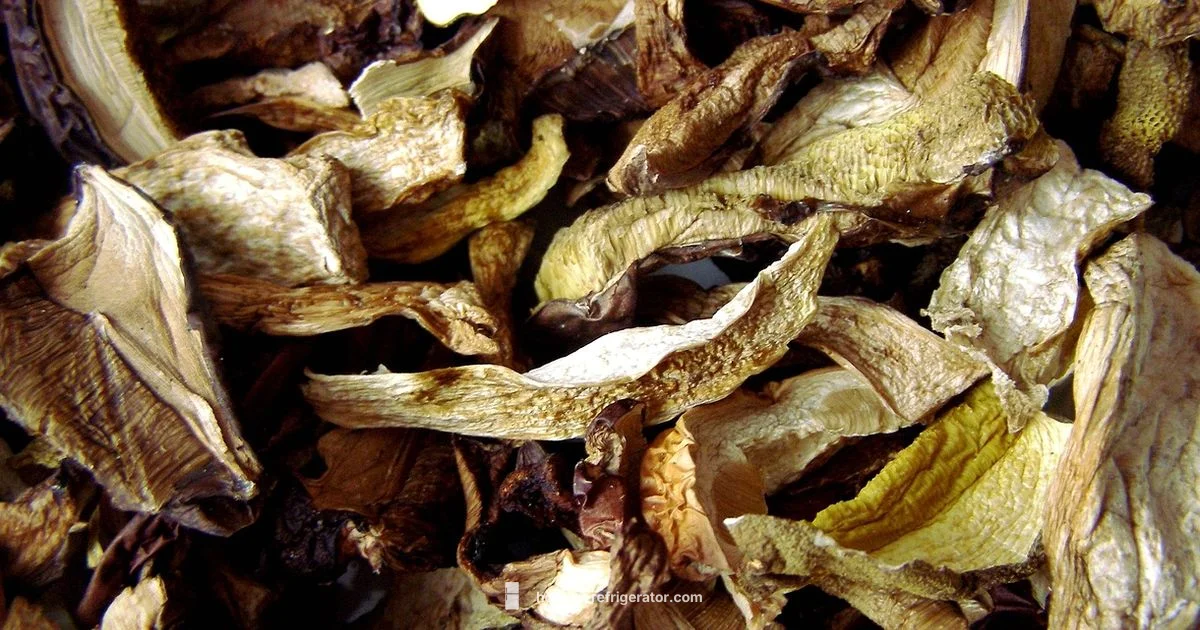 Dry Aging Fridge Setup - How To Refrigerator