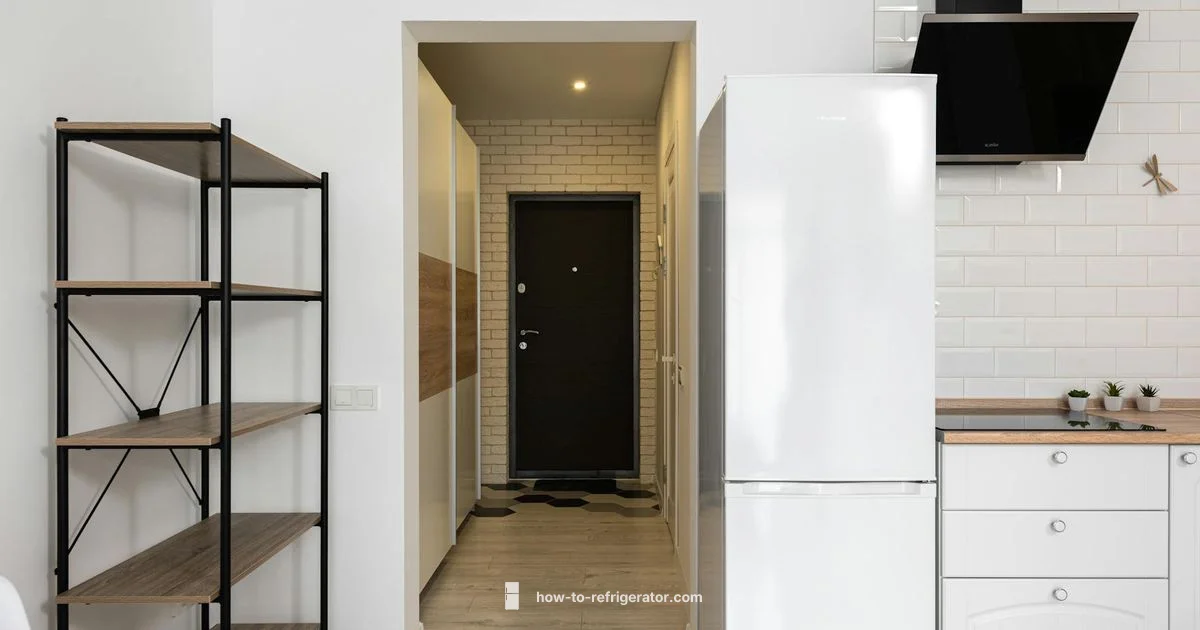 Fridge Startup Guide - How To Refrigerator