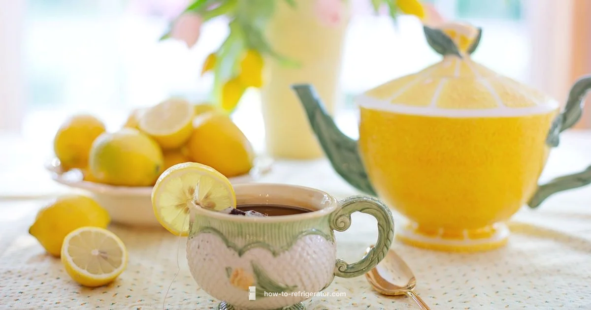 Fridge Longevity Guide - How To Refrigerator