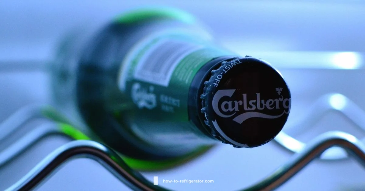 How Fridges Work - How To Refrigerator