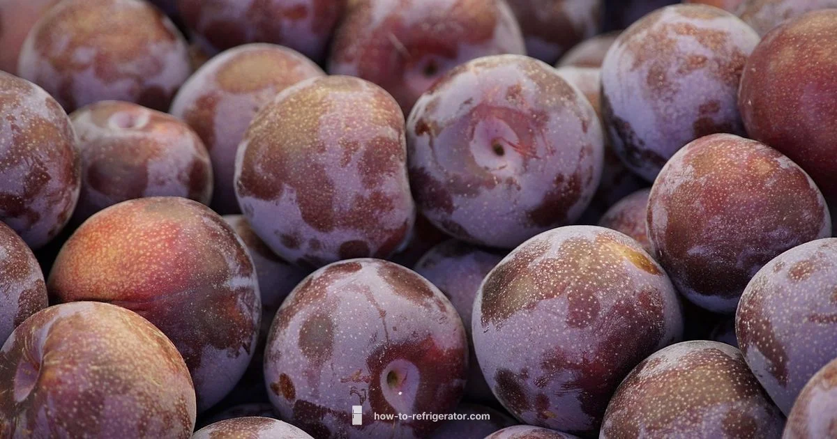 Fridge Cycling Guide Fridge Cycling Guide - How To Refrigerator