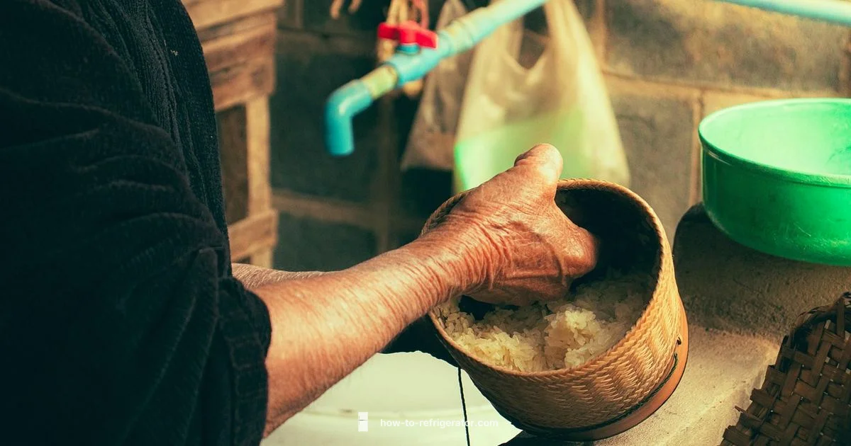 Rice Storage Guide Rice Storage Guide - How To Refrigerator