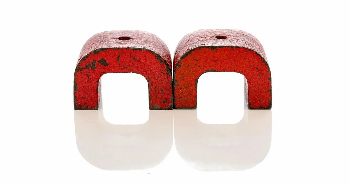 Magnets in Action - How To Refrigerator