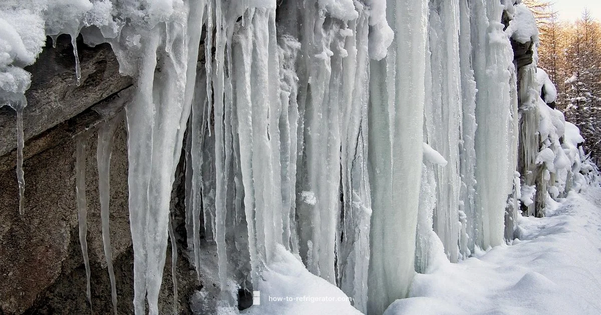 Ice Maker Setup Ice Maker Setup - How To Refrigerator