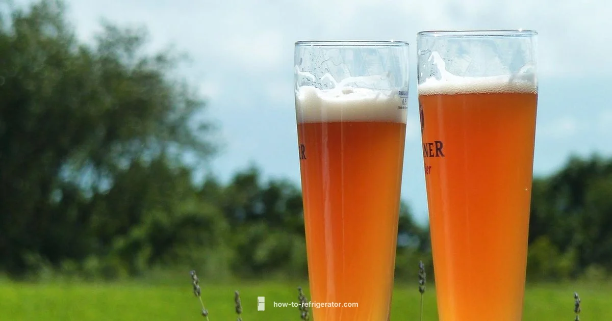 Beer Refrigerator Guide - How To Refrigerator