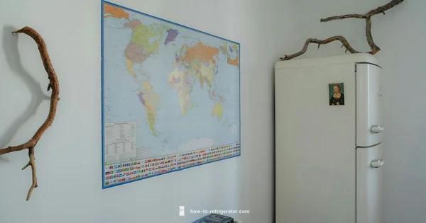 Popular Refrigerator Styles - How To Refrigerator