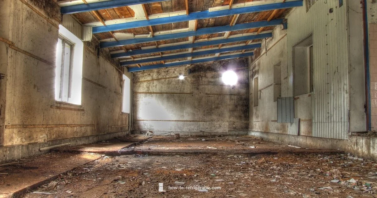 Garage-Ready Fridges Garage-Ready Fridges - How To Refrigerator