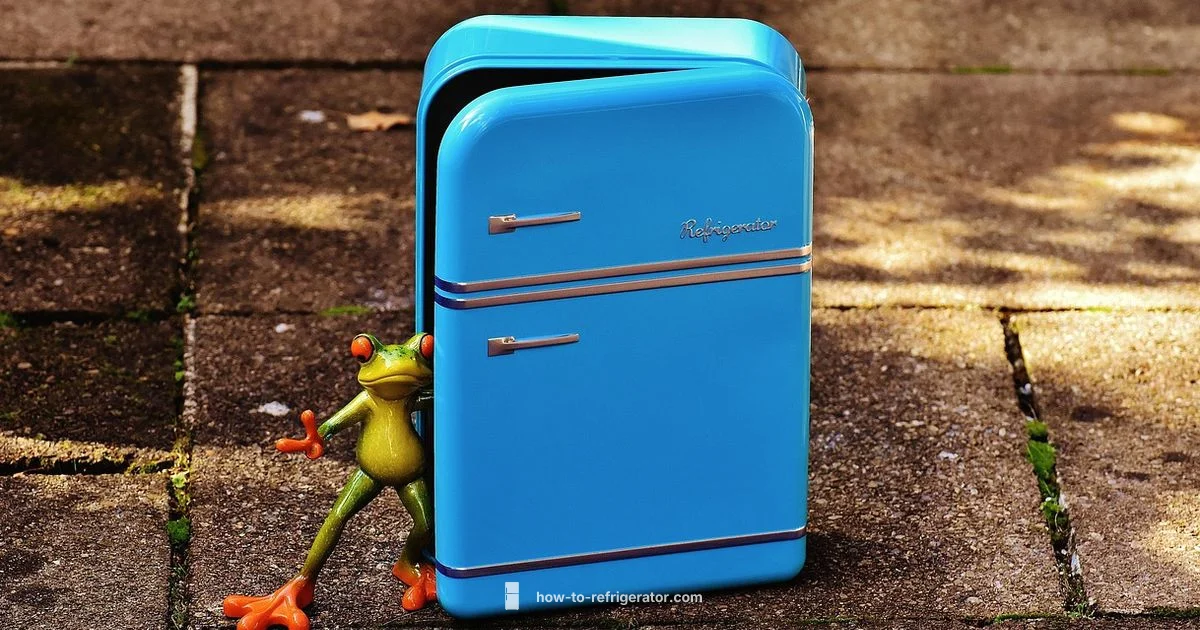 Top Brand Picks - How To Refrigerator