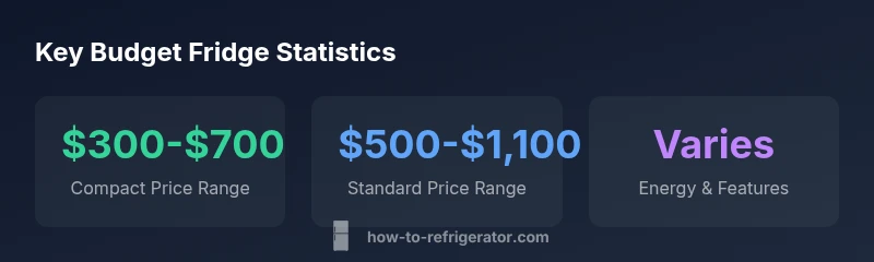 Budget fridge statistics infographic