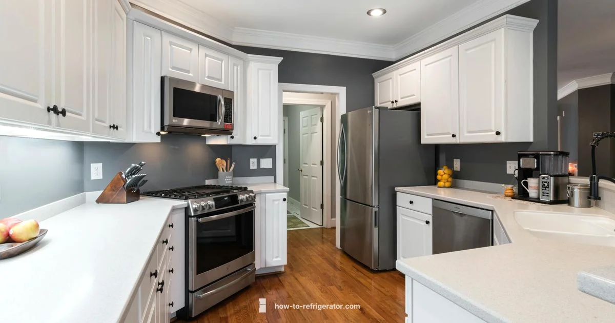 Fridge Fix Guide - How To Refrigerator