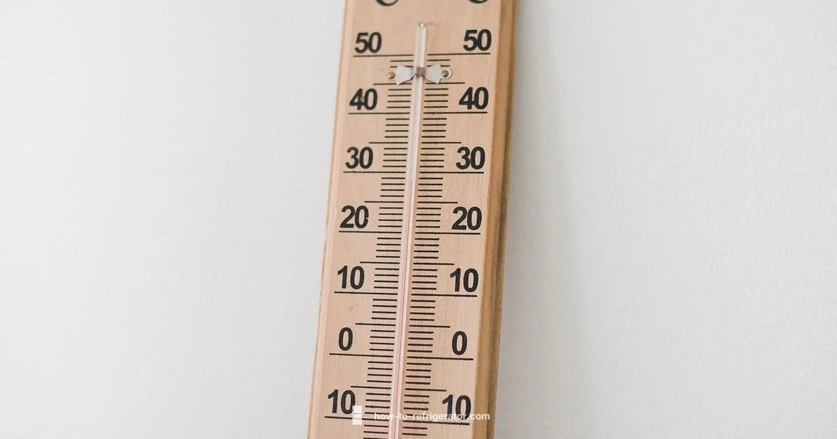 Thermometer Check - How To Refrigerator