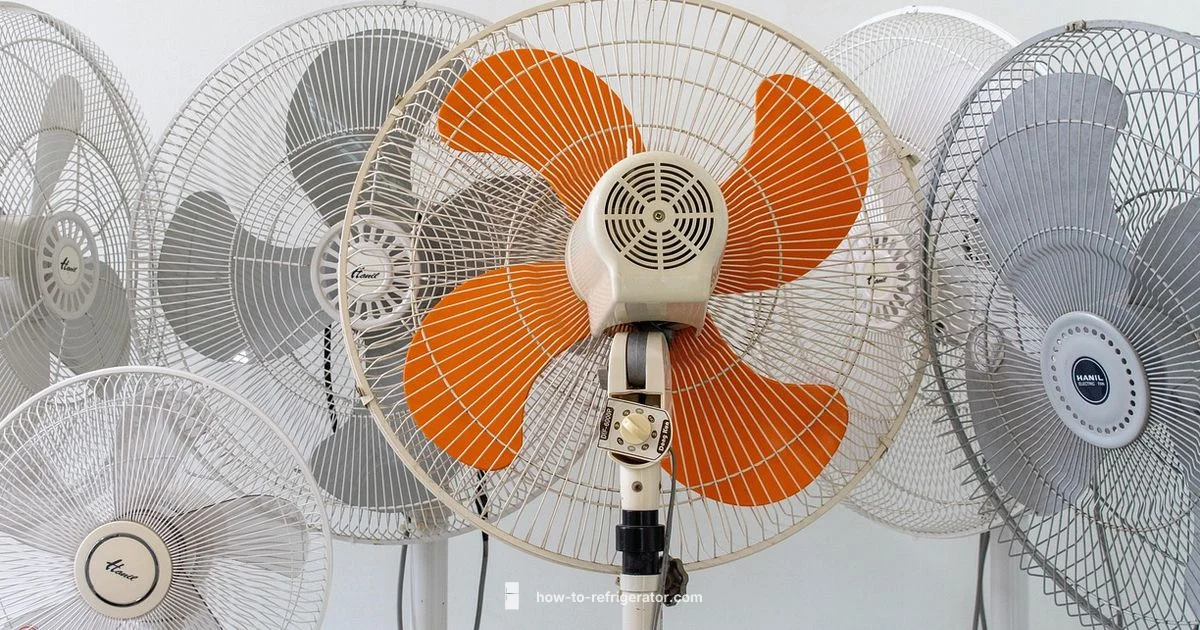 Appliance Basics for Home - How To Refrigerator