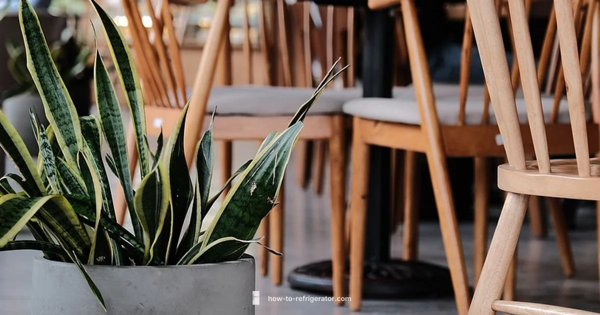 Cafe Refrigerator Review - How To Refrigerator