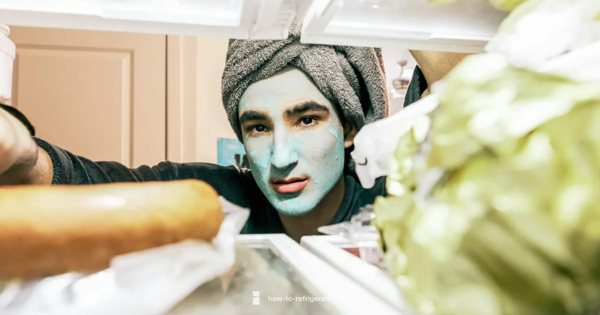 Fresh Fridge Fresh Fridge - How To Refrigerator