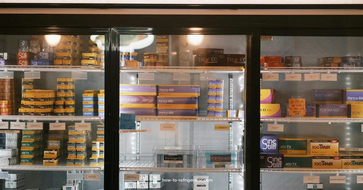 Haier Refrigerator Review - How To Refrigerator