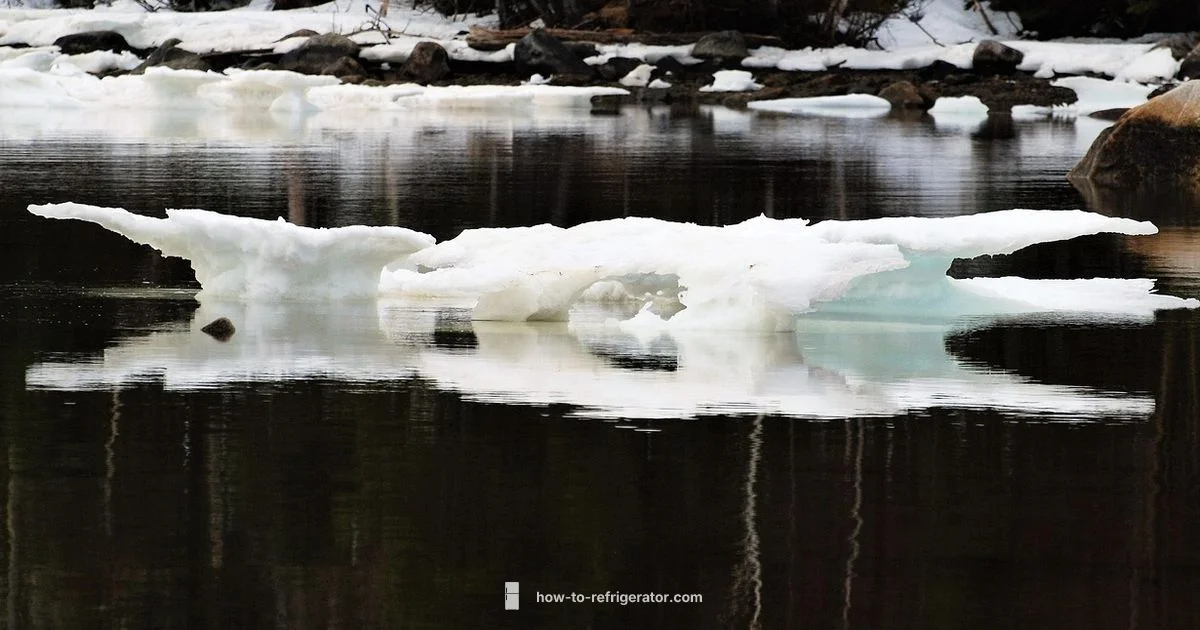 Fridge Defrost Guide - How To Refrigerator