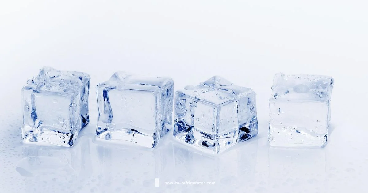 Round Ice Guide - How To Refrigerator