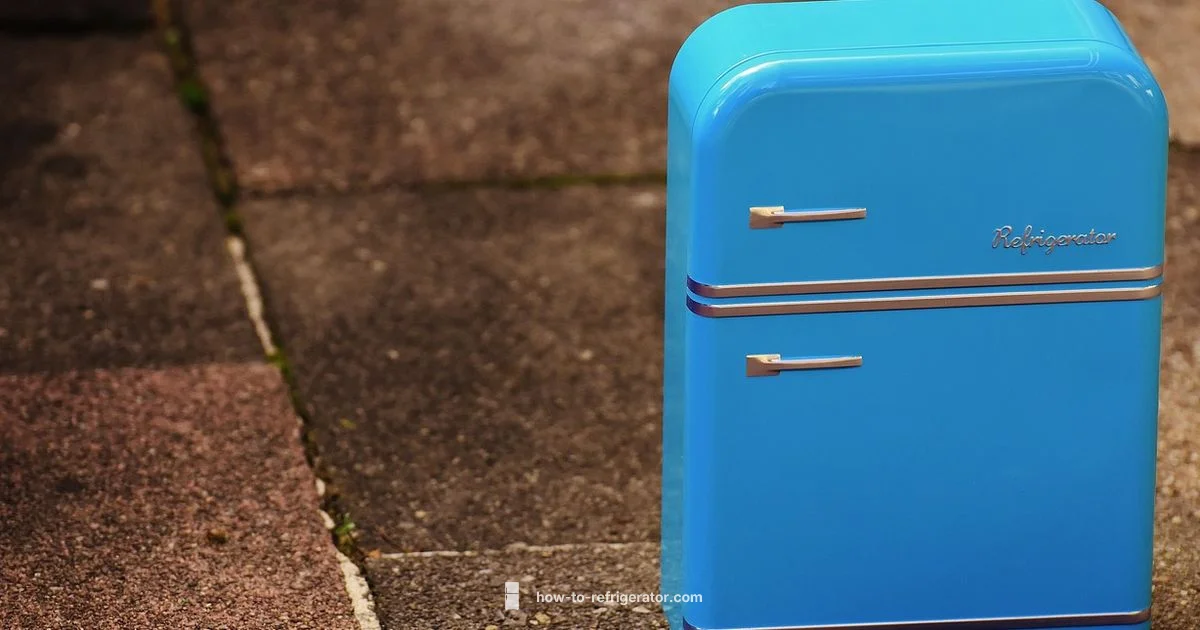 Safe Fridge Move Safe Fridge Move - How To Refrigerator