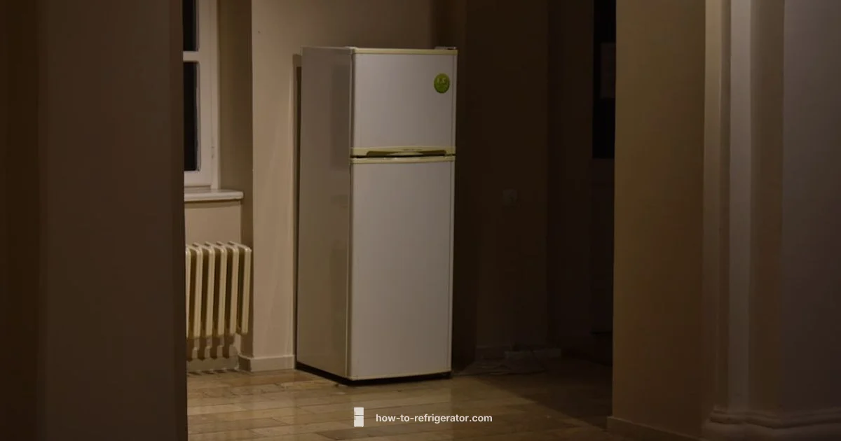 Fridge Sizing Guide Fridge Sizing Guide - How To Refrigerator