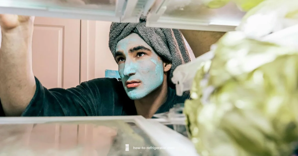 No Freezer Fix No Freezer Fix - How To Refrigerator