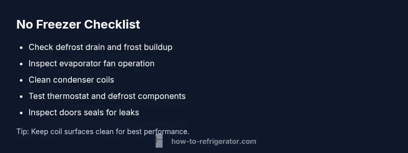 Checklist infographic for diagnosing a refrigerator with no freezer