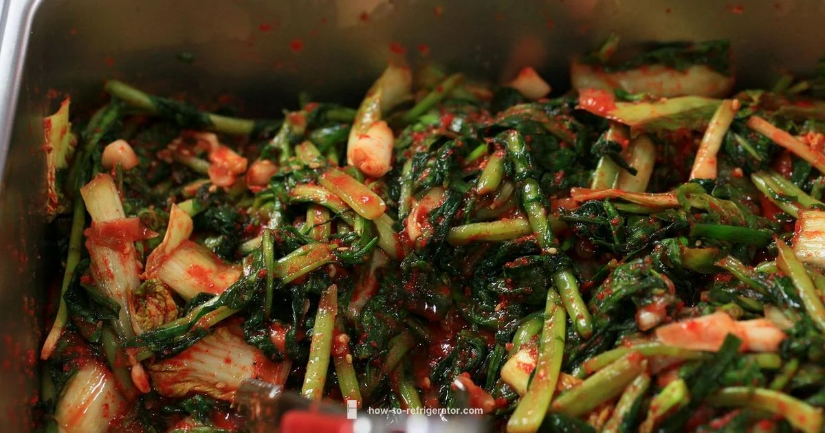 Kimchi Refrigerator Guide - How To Refrigerator