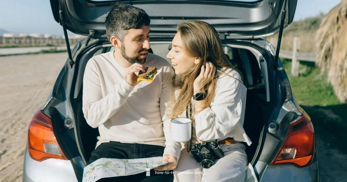 Car Fridge Guide - How To Refrigerator