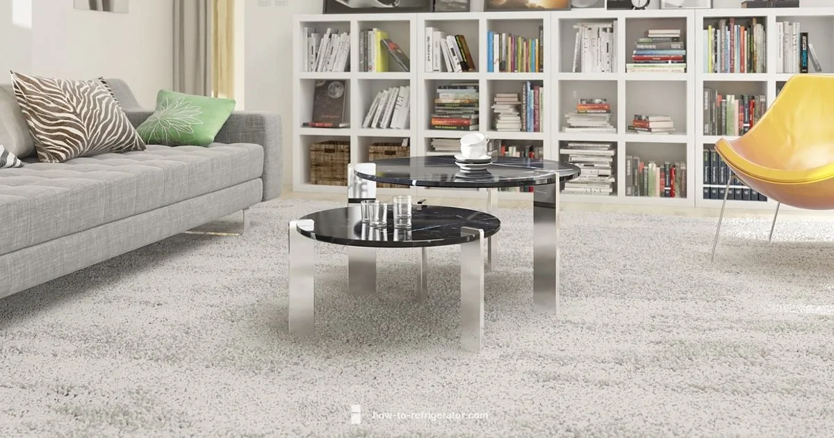 Carpet Fridge Setup - How To Refrigerator