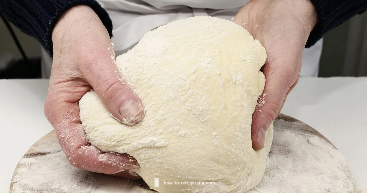 Dough Chilling Guide Dough Chilling Guide - How To Refrigerator