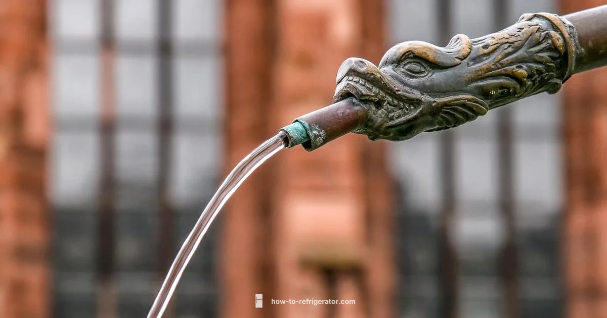 Fridge Water Safety Fridge Water Safety - How To Refrigerator