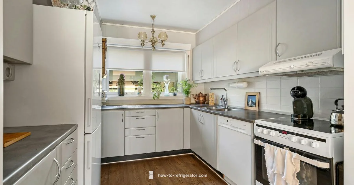 Favorite Fridge Brand - How To Refrigerator