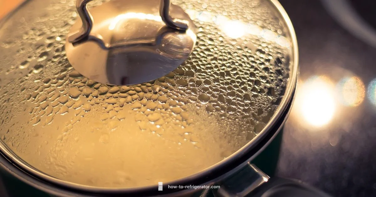 Rice Refrigeration Guide - How To Refrigerator