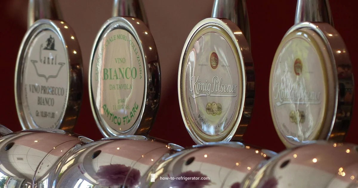 Inside Water Dispenser - How To Refrigerator