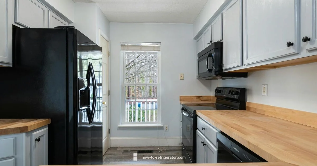 25 cu ft Refrigerator Guide - How To Refrigerator