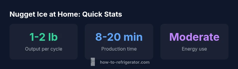 Infographic showing nugget ice production metrics at home