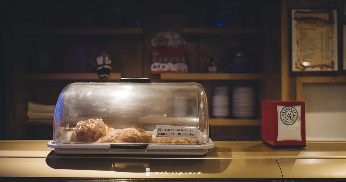 Under Counter Fridge Under Counter Fridge - How To Refrigerator
