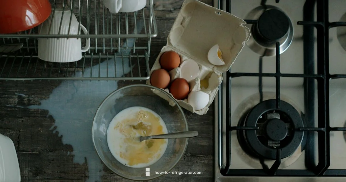 Fridge Odor Fix Fridge Odor Fix - How To Refrigerator