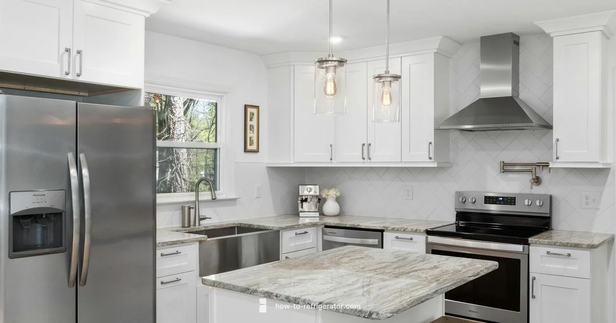 Hisense Review - How To Refrigerator