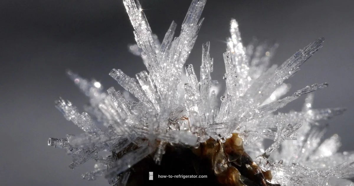 Ice Maker Fix - How To Refrigerator