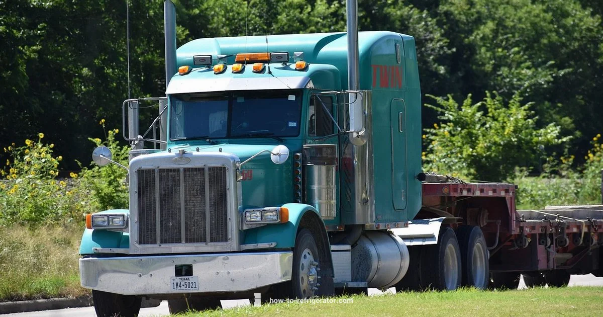 Fridge Move Guide - How To Refrigerator