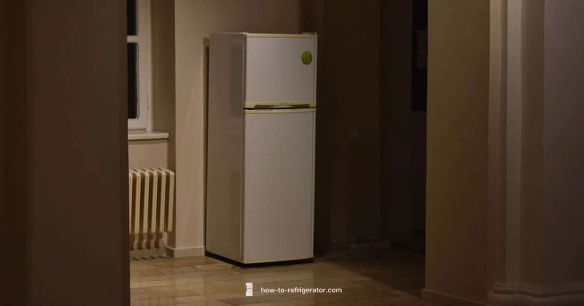 Fridge Fix Guide - How To Refrigerator