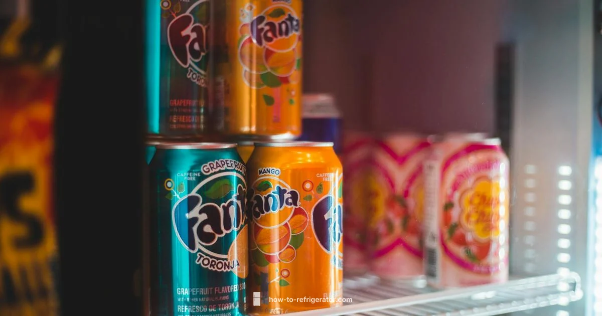 Fridge Storage Guide - How To Refrigerator