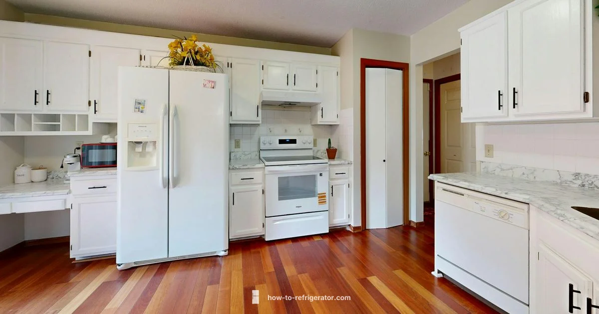 Fridge Terms Guide - How To Refrigerator