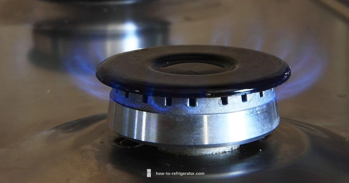 Safe Disposal Guide - How To Refrigerator