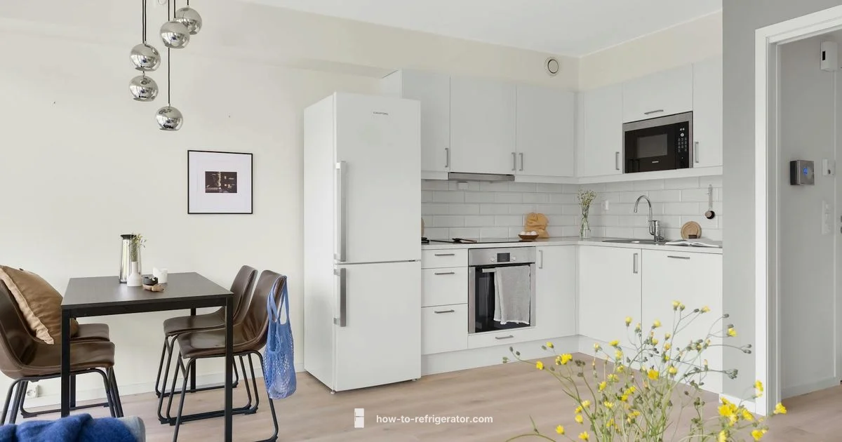 Move Out Fridge Safely Move Out Fridge Safely - How To Refrigerator