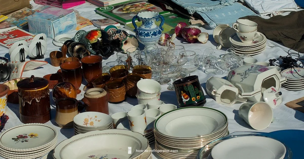 Used Fridge Guide - How To Refrigerator