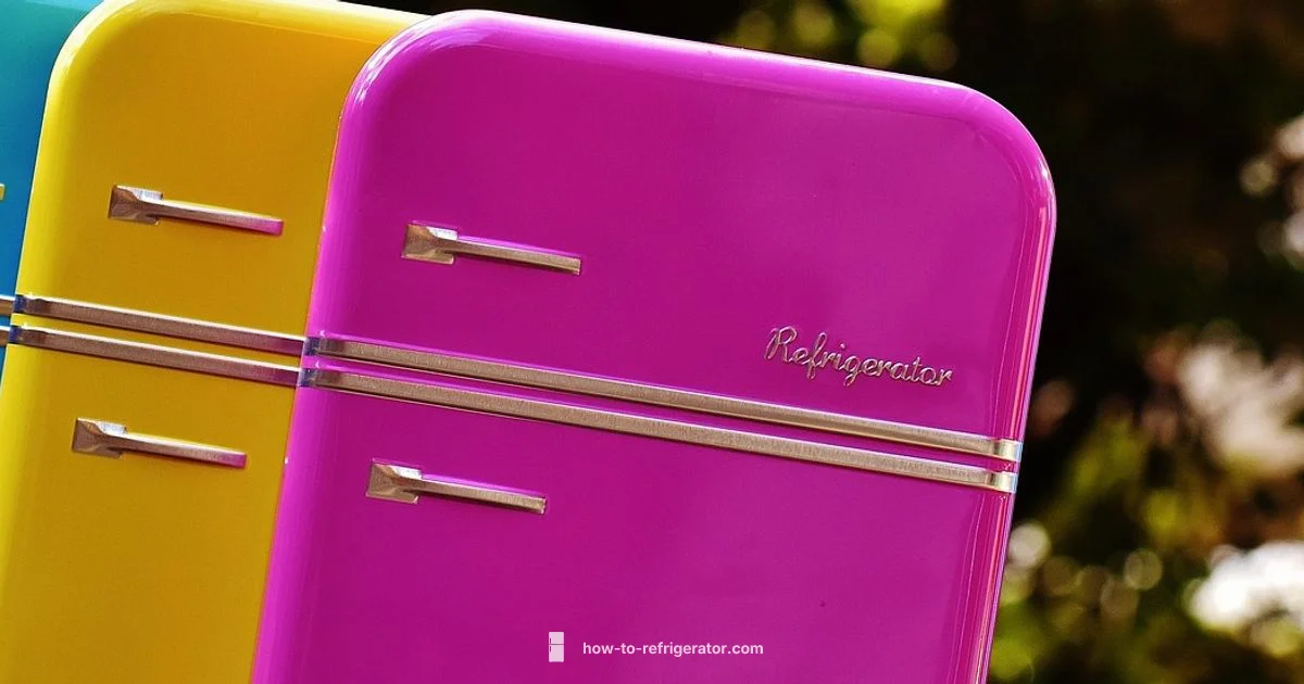 Bins Organization Bins Organization - How To Refrigerator